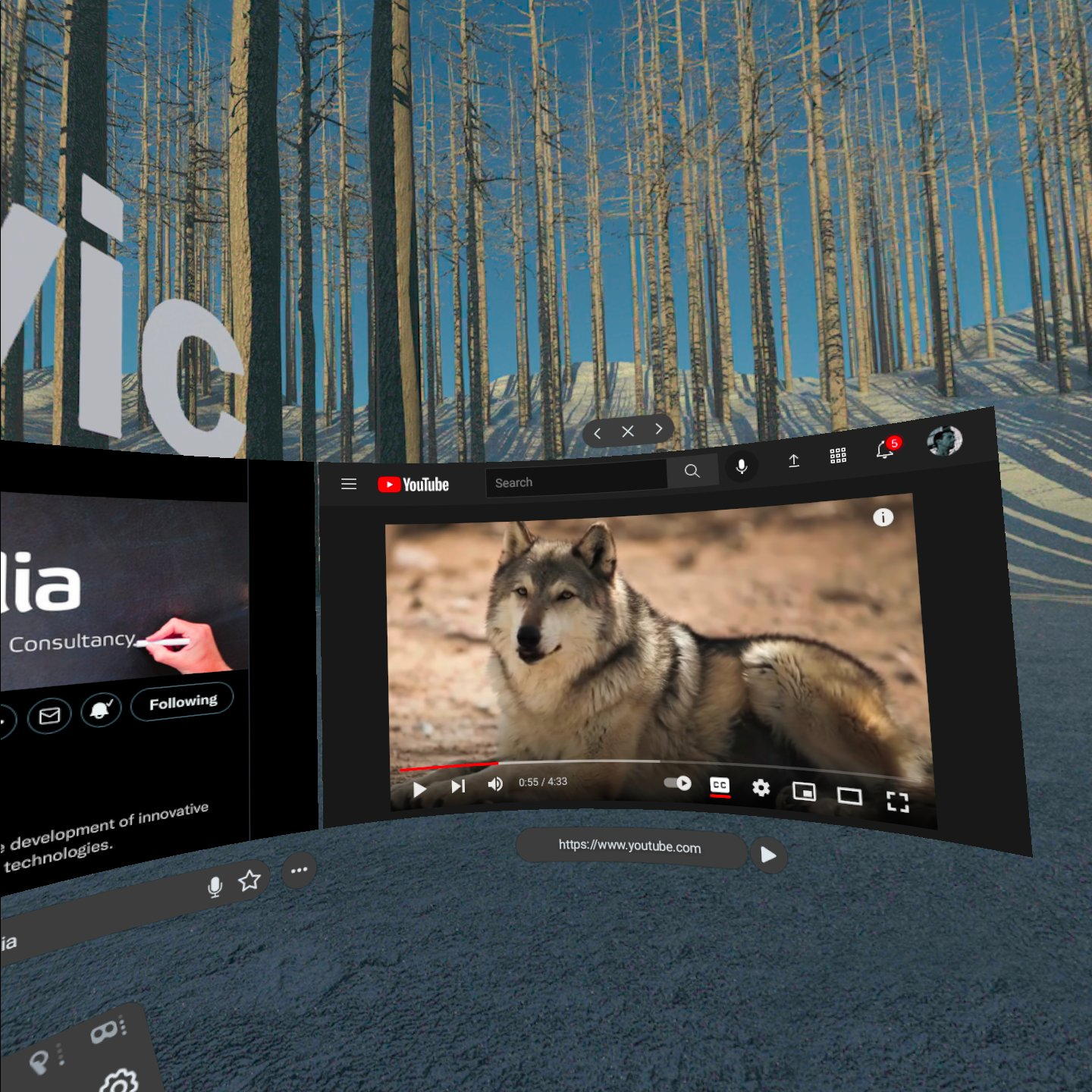 screenshot of wolvic browser in Oculus Quest 2 with two browser windows, Igalia's website and a video about Wolves on YouTube